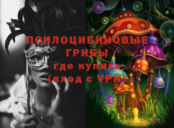 бутират Ельня