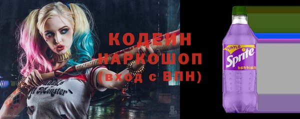 хмурый Елизово