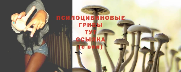 хмурый Елизово