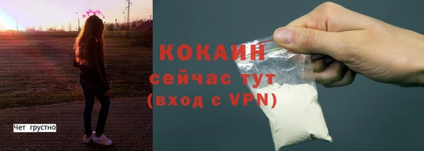 хмурый Елизово