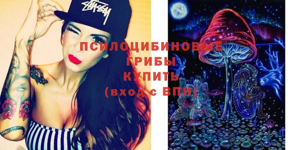 apvp Заводоуковск