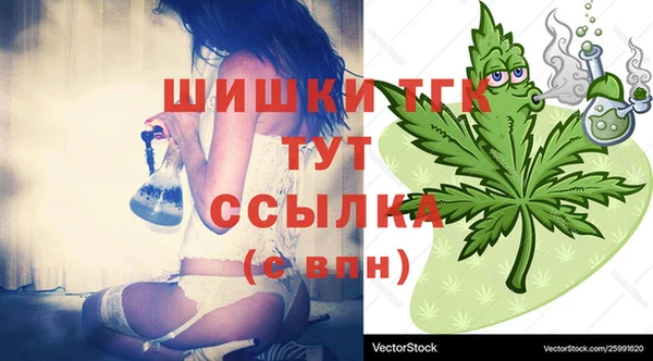 хмурый Елизово