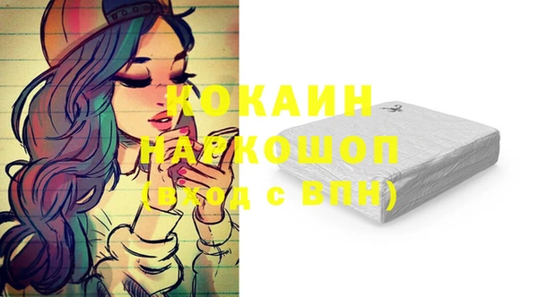 хмурый Елизово