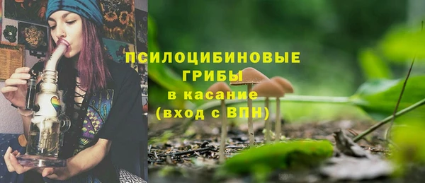молекула духа Заволжск