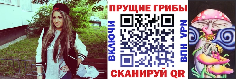 Псилоцибиновые грибы Cubensis Купить Ефремов